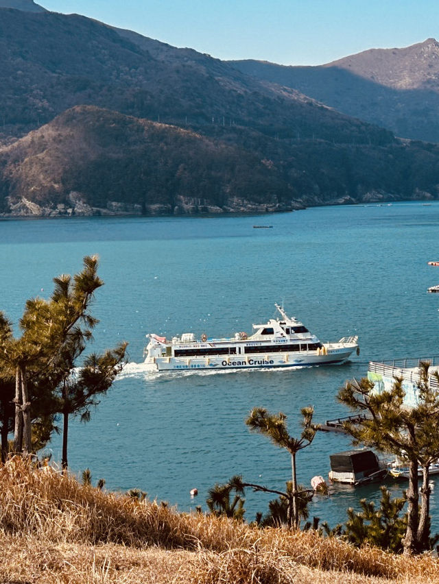 Windy Hill: A Breath of Fresh Spring Air in Geoje 🌬️🌸 