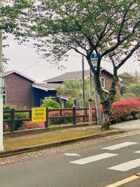 Seogwipo's Flower-Lined Roads in April