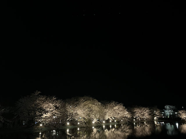 【須坂市】満開の桜が見れる臥龍公園🌸
