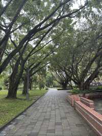 台北｜公園一日遊指南