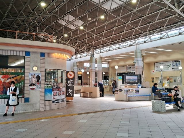 【静岡】下田旅は伊豆急下田駅からスタート！
