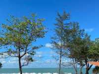 “Seaside Sophistication: Guest Experiences at The Westin Desaru Resort”