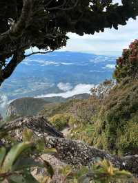 The breathtaking views during descent from Low’s Peak