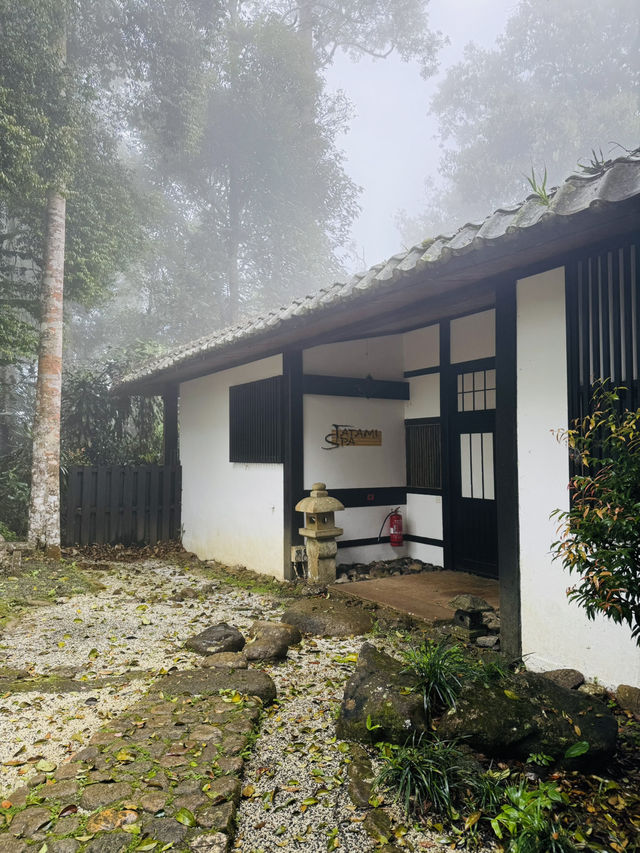 The Tatami Spa Hidden in the Forest