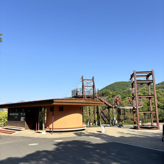 🇯🇵【愛媛県】四国最大級スケールを誇る とべもりジップライン