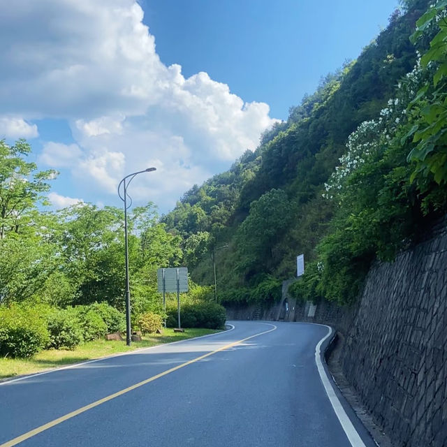 大崙湖•青山綠水的魔法