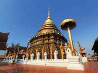 🐘 Lampang Unlocked: A Weekend of Hidden Temples, Slow Life & Horse Cart Adventures!