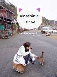 พาเที่ยวเกาะแมว Ainoshima Island