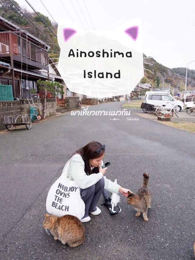 พาเที่ยวเกาะแมว Ainoshima Island
