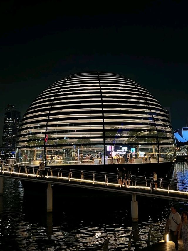 Singapore Diaries: Where Every Step Sparkles!