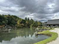 京都天龍寺：穿越時光的禪意之旅，在嵐山竹林中尋找內心的寧靜！