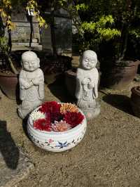 「なんで誰も教えてくれなかったの…？」岡寺に立った瞬間、思わずそんな言葉がこぼれた🇯🇵✈️🌏 