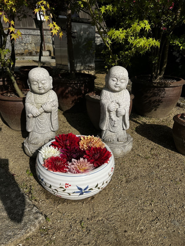 「なんで誰も教えてくれなかったの…？」岡寺に立った瞬間、思わずそんな言葉がこぼれた🇯🇵✈️🌏 