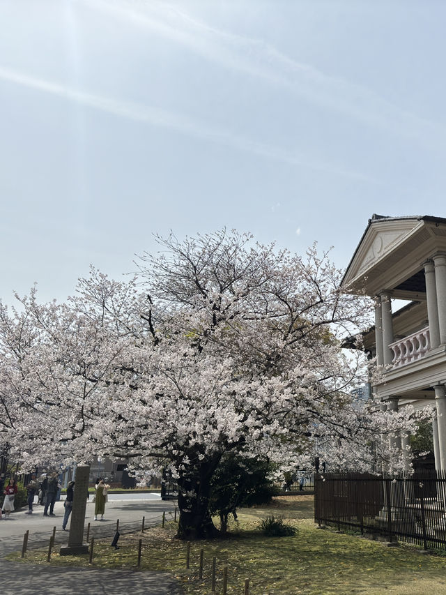大阪交通攻略｜地鐵四橋線
