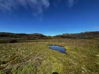 Family friendly Enchanted Walk and Wombats sightings 
