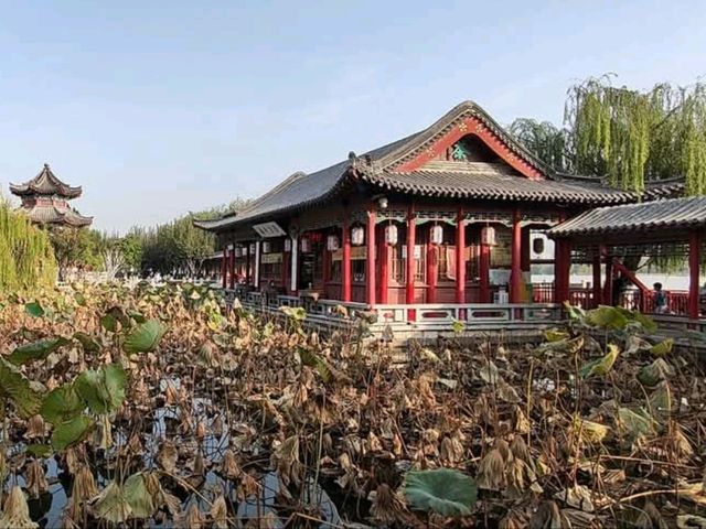大明湖走一圈，超然樓拍點燈