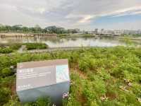 感受繁市中自然與建築藝術結合的魅力✨🌳蠔鄉湖公園🦪 ❤️