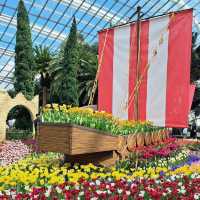 Tulip Fever in Full Bloom! 🇸🇬