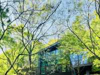 A Peaceful Getaway at Maninsan Forest Retreat