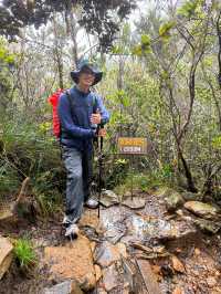 馬來西亞沙巴神山Mt. Kinabalu自由行
