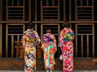 Kyoto – Where Blossoms Breathe Through Ancient Streets