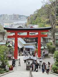 江島神社的洗錢大法⛩️
