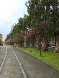 A Peaceful Morning at Sun Yat-sen Memorial Hall