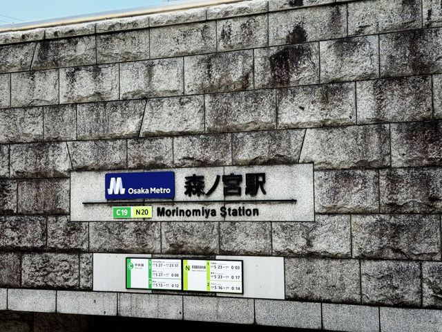 Osaka Castle