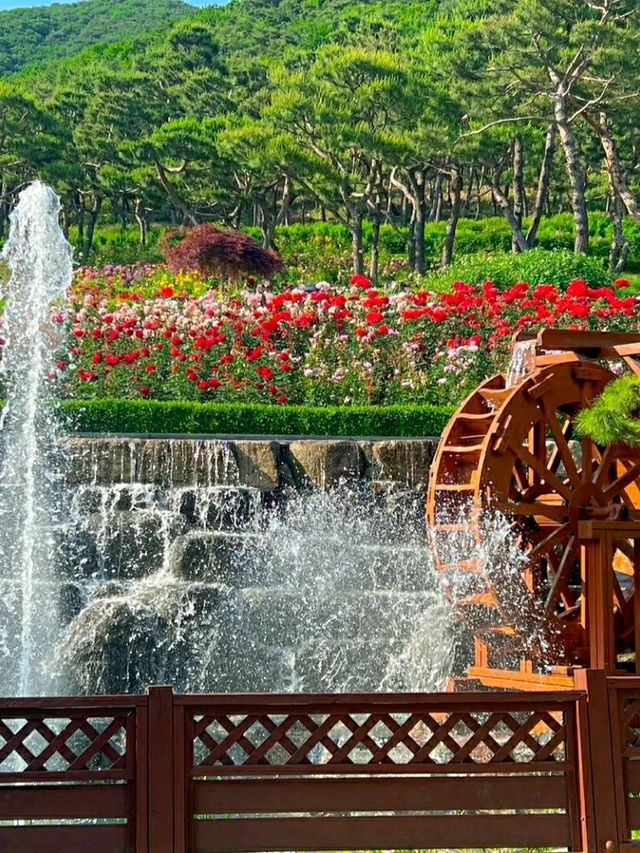 Incheon: Korea’s Coastal Gateway in Full Bloom