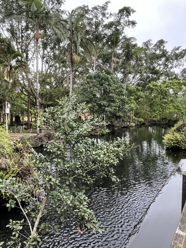 Discovering Hainan’s Ancient Volcanoes at Leiqiong Geopark 🌋
