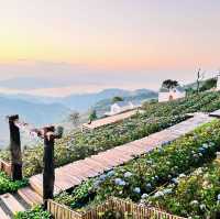 Mr. Black Cafe Doichaang : ธรรมชาติเงียบสงบ