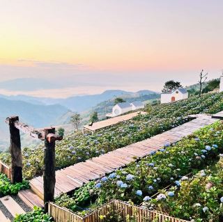 Mr. Black Cafe Doichaang: A Peaceful Natural Retreat