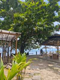 The Kelapa Beach Cafe สมุย