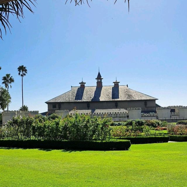 A Green Escape: Royal Botanic Garden Sydney