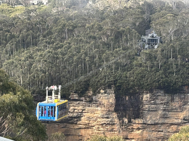 Blue mountain 