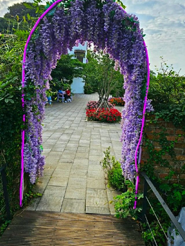 ECOLAND IN JEJU ISLAND.