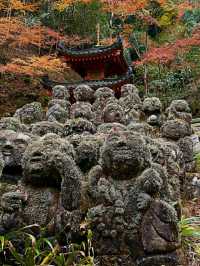 Discovering Kyoto: The Timeless Cultural Heart of Japan