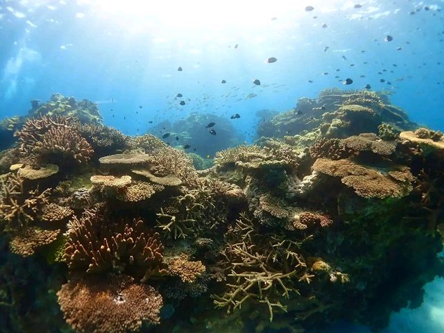 Title: Island of Contrast: Discovering Okinawa