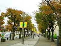 Kobe Harborland – Japan’s Scenic Waterfront Experience