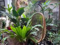 The Daily Fix Café – Pandan Perfection in a Hidden Gem