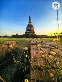 วัดช้าง อยุธยา: โบราณสถานเงียบสงบข้างวัดมเหยงคณ์