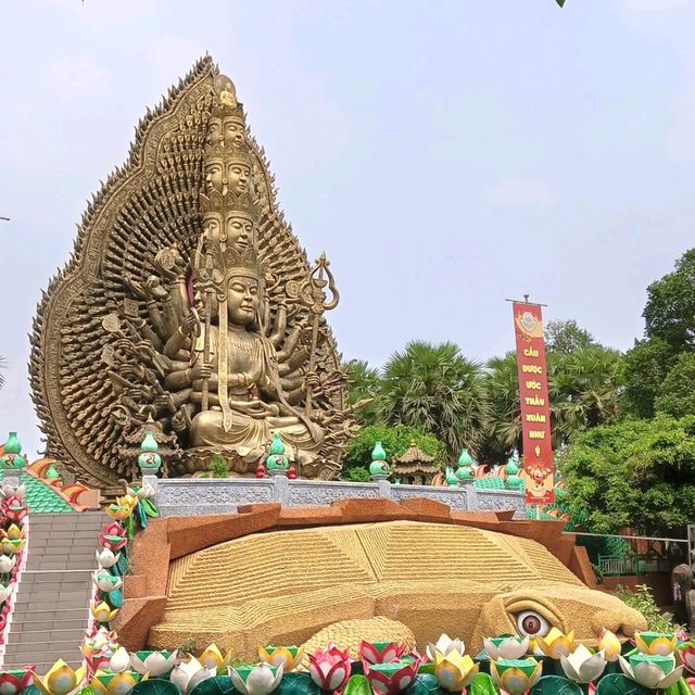 Uncover Ultimate Neighborhood in Hoi An and Ho Chi Minh
