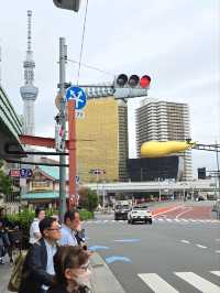 เที่ยวย่านAsakusa เดินเล่นริมแม่น้ำสุเมดะ