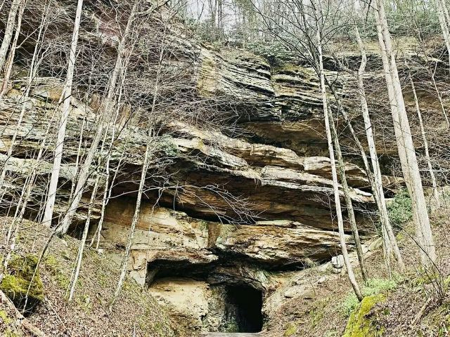 Kentucky’s Wild Wonderland: Red River Gorge Trails