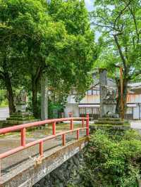 Exploring the Timeless Charm of Kyoto, Japan