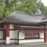 ⛩️ 名古屋の心に響く祈りの場所：大須観音とその門前町 🏮🕊️