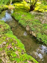 Changthong Heritage Park – Nature, Culture & Serenity Combined