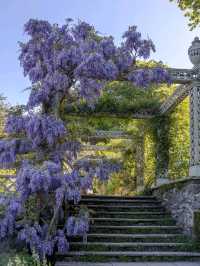 Bodnant Garden – A Living Masterpiece in the Heart of North Wales