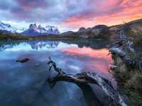 Patagonia National Park – Argentina’s Untamed Wilderness