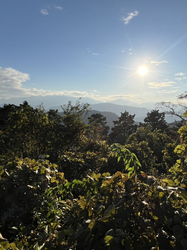 Mount Takao: A Refreshing Escape for Beginners